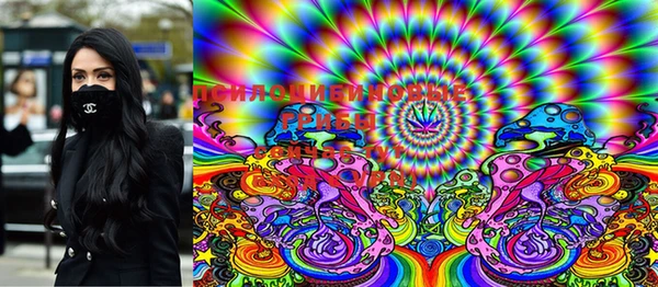 марки nbome Белокуриха